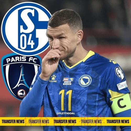 德天空：巴黎FC内部明确将特尔列为头号目标，哲科也在名单